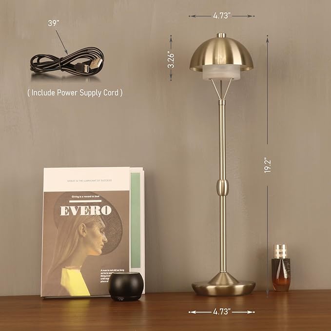 Modern Table Lamp Cordless Portable Desk Lamp, 2700K Stepless Dimming Rechargeable Battery Operated LED Lights for Bedroom, USB-C Charging, Restaurant/Bar/Night Light/Gifts (Brushed Nickel)