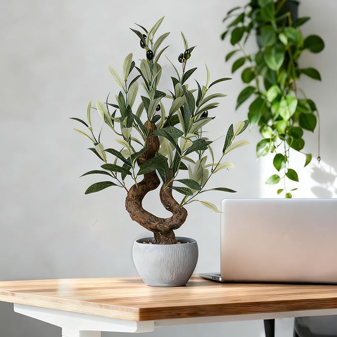 TOARTi Artificial Olive Tree Potted Plant with Stone Pot, 10" Tall Japanese Bonsai Tree Faux Plants Desk Plant, Realistic Greenery Decor for for Home Bedroom Bathroom Office Desk
