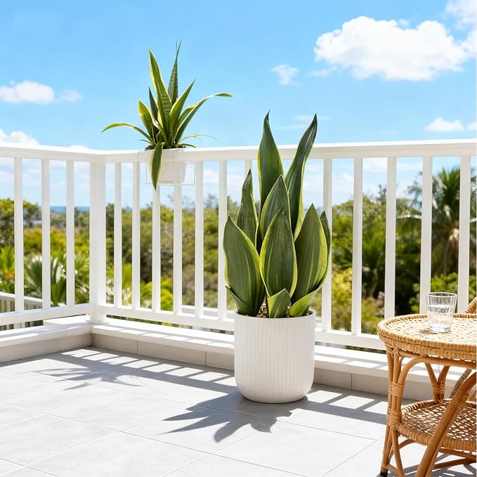Artificial Realistic Snake Plant 16" with White Ceramic Pot Fake Snake Plants Sansevieria Greenery Faux Snake Plant for Home Office Living Room Housewarming Gifts Indoor Decor