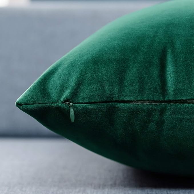 JUSPURBET Decorative Pillow Covers Set of 2 Velvet Throw Pillow Covers for Couch Sofa Bed Soft Lumbar Cushion Covers with Hidden Zipper for Living Room Home Decor,Dark Green,12x20 inch