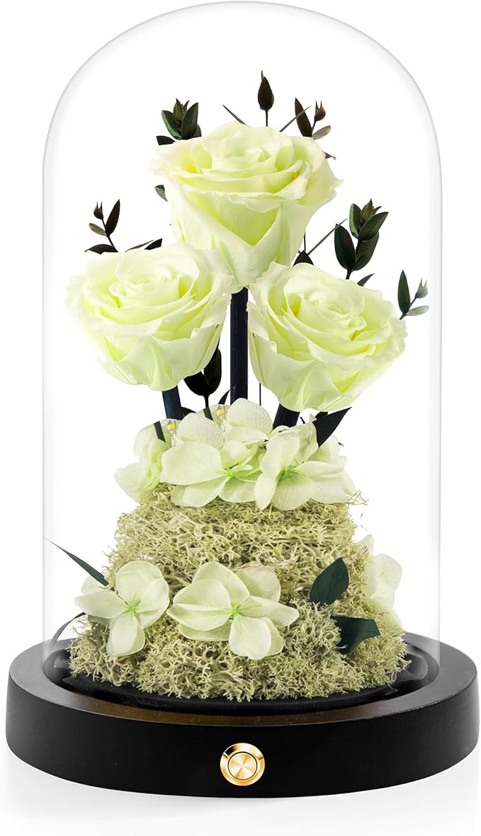 Christmas Flowers Roses Gifts for Mom,Forever Real Preserved Roses in Glass Dome,Christmas Anniversary Thanksgiving Gifts for Wife Girlfriend Women Best Friend Grandma/Light Green