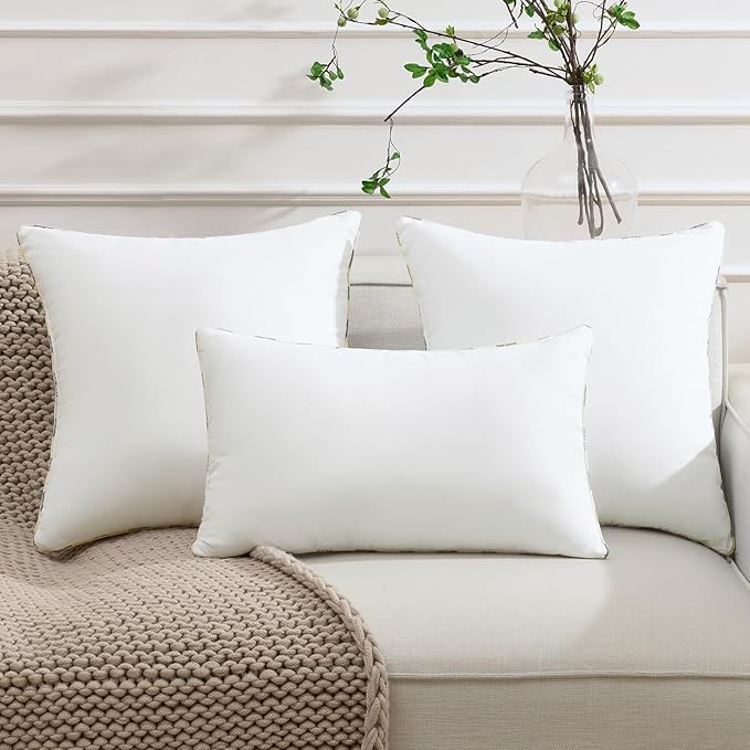 Phantoscope Hypoallergenic Throw Pillows Insert, 100% Virgin Fiber Throw Pillows - Indoor Pillow Inserts Decor Stuffer for Desk Sofa and Couch, Set of 2, 18 x 18