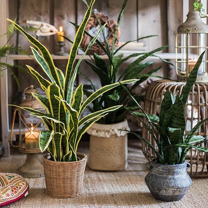 Beebel Artificial Plants Sansevieria Snake Plant with Black Plastic Planter Greenery Perfect Faux Agave Fake Plants in Pot for Home Office Indoor and Outdoo Décor (22" Green)