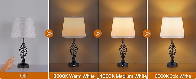 Charging Table Lamps Set of 2, nightstand lamp with USB Ports Bedside Desk lamp for Living Room Bedroom,Black Spiral cage Base Design 3 Color Temperature LED Bulbs Included.