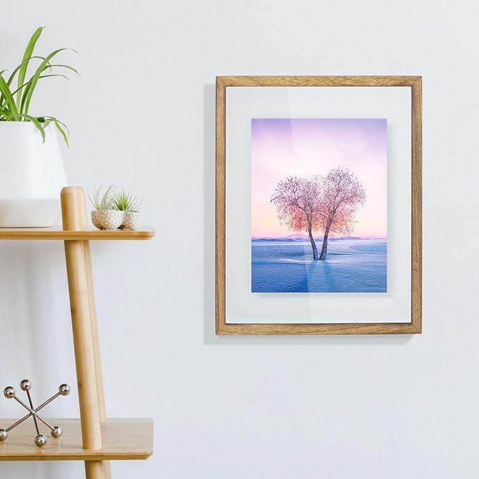 DLQuarts 11x14 Floating Photo Picture Frame, Floating Display for Photos 8x10, 7x9, 5x7, 8.5x11 Certificate, or Full Display for 11x14 Photos, Solid Wood, Double Glass, 2 Pack, Carbonized Brown