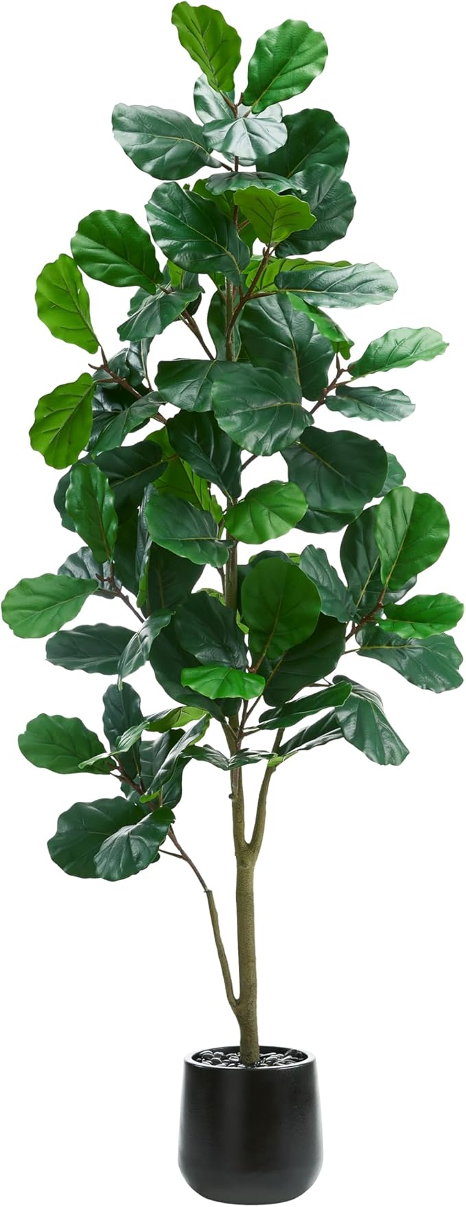 Artificial Fig Tree (2, Black, 2.5FT)