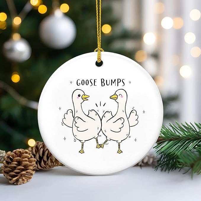 TEEZWONDER Silly Goose Ornament Christmas Decorations - Ceramic Animal Christmas Ornaments - Silly Goose Gifts for Women Friends, Funny Secret Santa Gifts for Coworker, White Elephant Gift Ideas