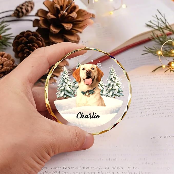 Custom Pet Christmas Ornament with Photo – Personalized Crystal Dog Cat Memorial Gift – Snow Scene Holiday Decor