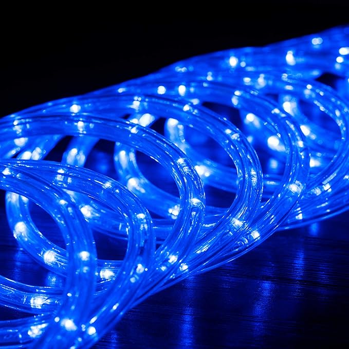 WYZworks 288LEDs, 25ft LED Outside Rope Lights, Waterproof Permanent Outdoor ETL Certified Connectable Clear Tube, Christmas Palm Tree Holiday Decorative Landscape Patio Accent Lighting - Blue