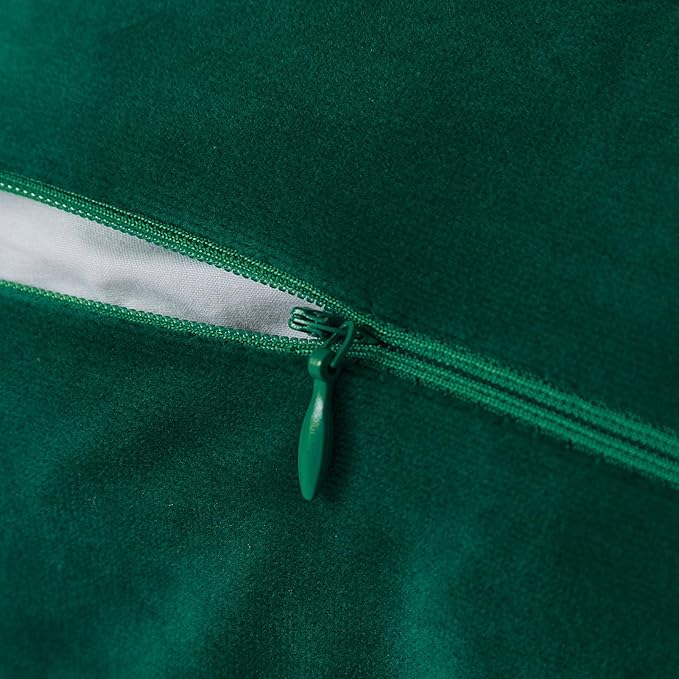 JUSPURBET Forest Green Velvet Throw Pillow Covers 26x26 Inch Set of 2 with Soft Tassel Fringe Luxury Boho Pillowcase for Sofa Couch Bed Home Decor Machine Washable