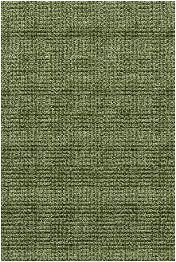 EARTHALL Woven Area Rug 2x3 Ft Washable Rugs for Entryway Braided Non Slip Throw Rugs Door Mat Indoor Outdoor Entrance Small Cotton Woven Carpet for Kitchen Foyer Front Door, Green