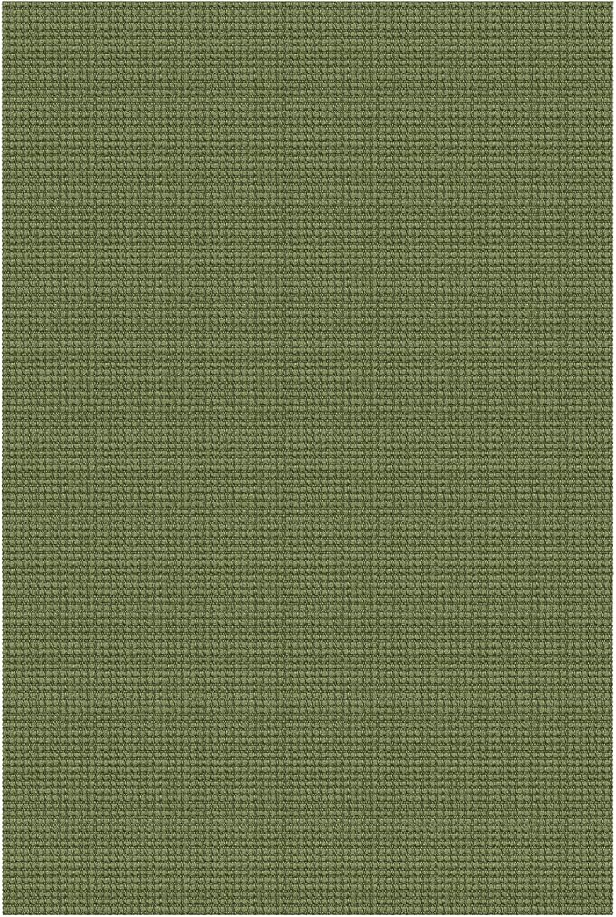 EARTHALL Woven Area Rugs 5x7 Ft Washable Living Room Rugs Non Slip Rubber Backed Dining Room Rug Braided Bedroom Rugs Indoor Floor Carpet for Living Room, Bedroom, Dining Room, Green