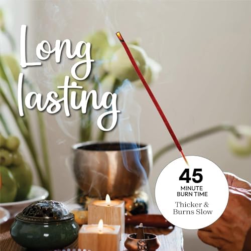 Potent Dragons Blood Incense Sticks - (40+Sticks, 9 inch) Thick Natural Resin Incense, Clean Charcoal Free | Sweet Spicy & Ambery Smelling Protection Incents (Sangre de Grado) (Burn Time 45+ Mins)