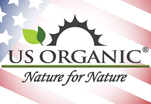 US Organic Sweet Almond Kernel Oil, USDA Certified Organic,100% Pure & Natural, Cold Pressed Virgin, Unrefined in Amber Glass Bottle w/Eyedropper, Sourced from Poland (4 oz (115 ml))