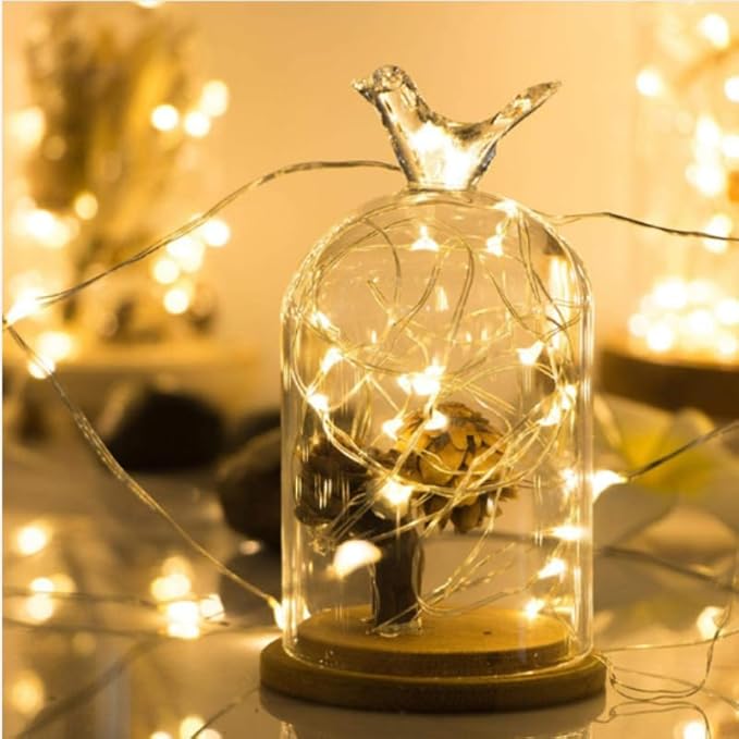 2 Pack (in Total 13.12 FT) Battery Operated Fairy String Lights, 8 Modes Silver Wire with Remote & Timer -20 LEDs Waterproof for Bedroom, Wedding, Christmas, Party Decorations (Warm White)