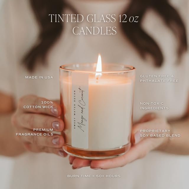 Sweet Water Decor Fraser Fir Candle - Evergreen, Fir, Cedar, and Cypress Winter Holiday Scented Soy Christmas Candles for Home - 12oz Sandstone Jar, 50+ Hour Burn Time, Made in The USA