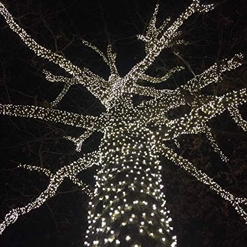 Novelty Lights 25 Feet 50 LED True Twinkle Pure White Outdoor Christmas String, 100% Twinkle 5mm LED Lights on Green Wire, Commercial Grade UL Listed, Connectable End to End