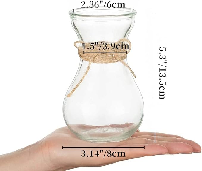Small Glass Vases for Centerpieces - Hewory 6pcs Clear Mini Hyacinth Avocado Growing Bud Vase Bulk, Cute Tiny Flower Bulb Forcing Plant Containers Set for Wedding Home Living Room Table Decorations