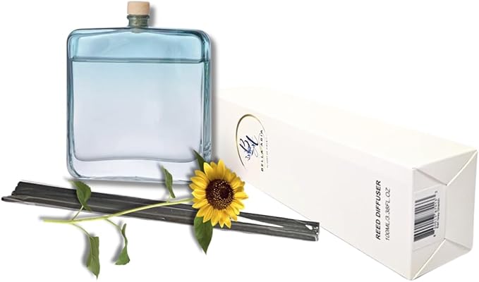 Bella Aria by Just Us Chix, Fragrant Reed Diffuser, 100ml Square Glass Bottle with 5 Reeds (Summer Sea Breeze)