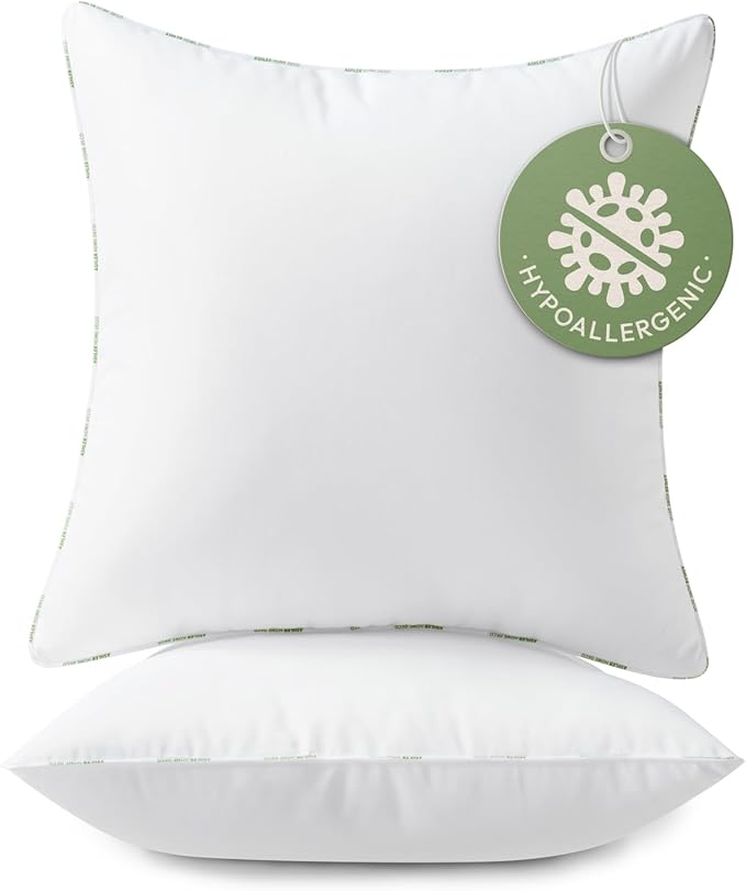 Ashler Home Deco Throw Pillow Inserts (Pack of 2, 20 x 20 Inches, White) - Hypoallergenic 100% Virgin Fiber Square Form Microfiber Throw Pillows for Bed and Couch Pillows | Indoor Decorative Pillow