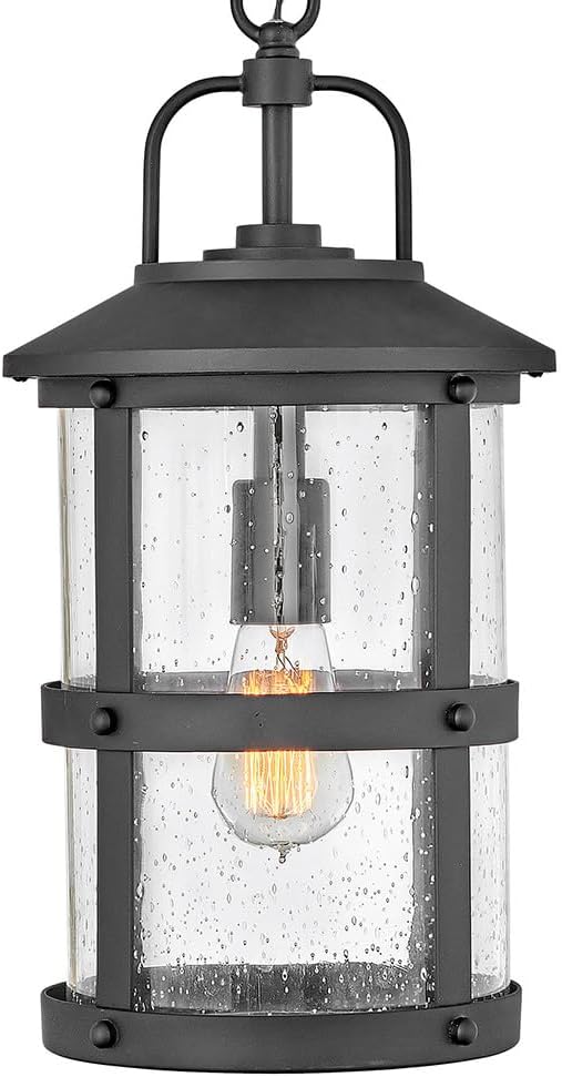 Hinkley Lakehouse Collection One Light Outdoor Medium Hanging Lantern, Black w/Clear Seedy Glass