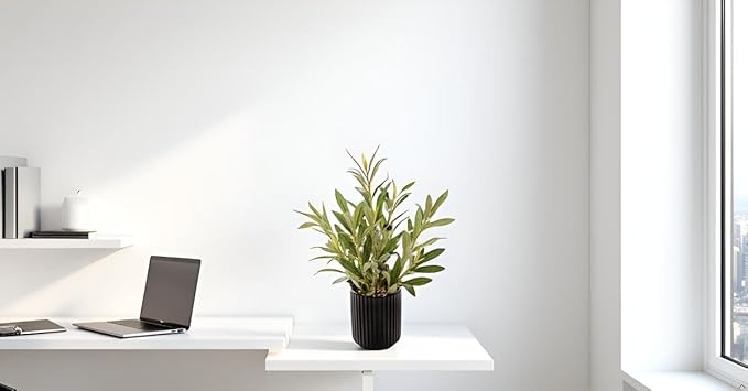 14 inch Artificial Olive Plant Indoor Fake Plants with Ceramic Black Pot Faux Silk Plant with Realistic Trunk Perfect for Home Office Table Decoration