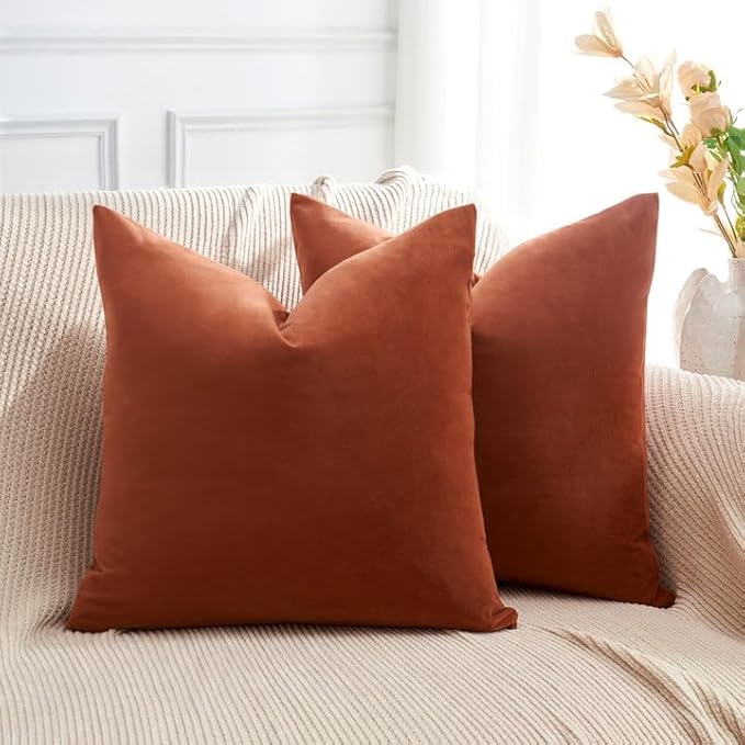 Throw Pillow Covers Rust Set of 2 20x20 Inch Pillow Covers, Soft Velvet Fall Decorative Cases for Couch Sofa Bed, Home Boho Decor, Modern Farmhouse Cushion Covers