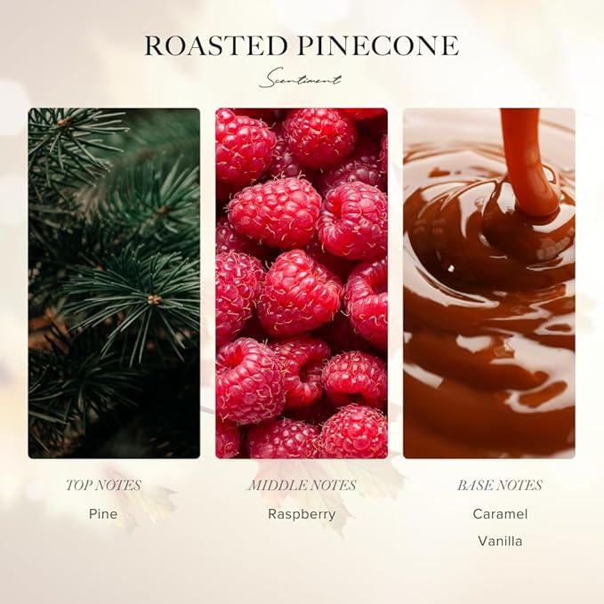 Scentiment Diffuser Oil - Roasted Pine Cone Fall Collection | Aromatherapy Home Fragrance | Luxurious Scent with Notes of Pine, Raspberry, Caramel (120ml)