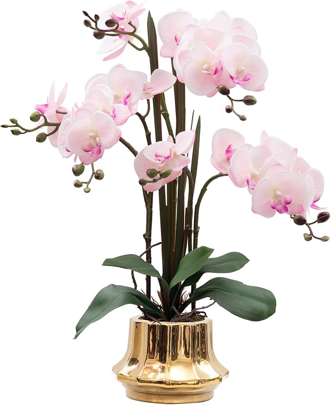 CXGS Artificial Orchid Flower Plant 20.9'' Real Touch Faux Orchids in Ceramic Vase Pink Fake Phalaenopsis Flower Arrangement Silk Orchids with Stems for Centerpiece Table Home Indoor Decor