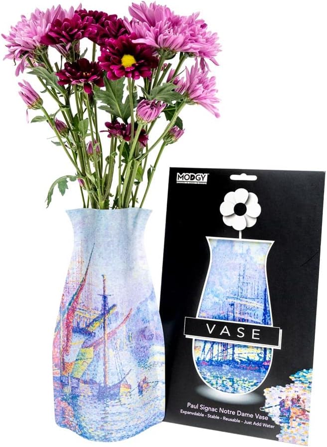 MODGY Expandable Flower Vase Plastic Decorative Modern Vases for Flowers Centerpieces Dining Table Decor Living Room Bathroom Wedding Office, Paul Signac, Notre Dame