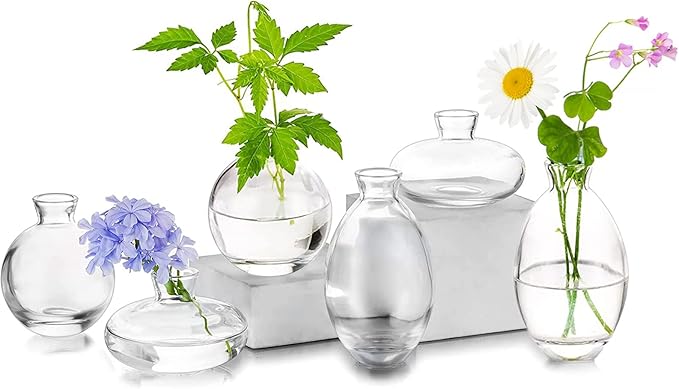 Glass Bud Vases Set of 6, Hewory Cute Clear Small Vases Handmade, Mini Glass Flower Vase for Floral Arrangement, Tiny Centerpiece for Wedding Party Events Home Office Table Decor (Not Include Flower)