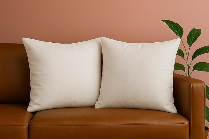 Trendy Home 20x20 Throw Pillow Insert (Set of 2, White) Bed and Couch Pillows Stuffer Hypoallergenic, Decorative Home Indoor Outdoor Sofa Pillow Filler (Non Woven, 2 Pack)