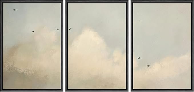 MUDECOR Framed Wall Art Print Set Minimalist Serene Sky with Birds Illustrations Modern Art Boho Decorative Colorful Chic for Living Room, Bedroom, Office - 16"x24"x3 Black