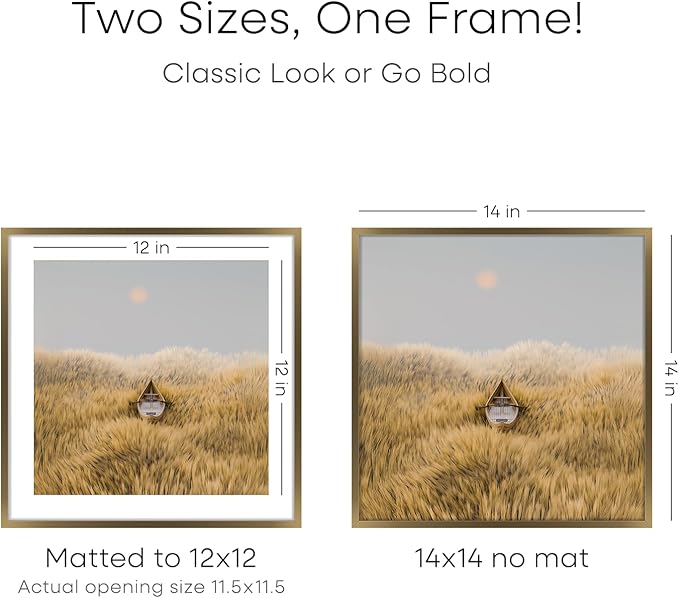 Homeforia 14x14 Picture Bronze Frame, High End Metal 14 x 14 Square Poster Frame with Mat 12 x 12 Photo, 14x14 Brass Frame Matted to 12x12 Print, 14by14 Thin Frames, Tempered Glass, Wall Kit, Set of 2