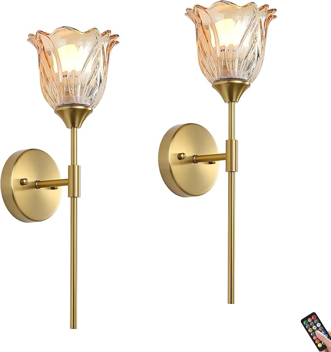 2 Pack Battery Operated Wall Sconce with Amber Glass Lampshade, Mid Century Bathroom Vanity, Wireless Rechargeable RGB Wall Light with Remote Control, for Bedroom Mirror Living Room