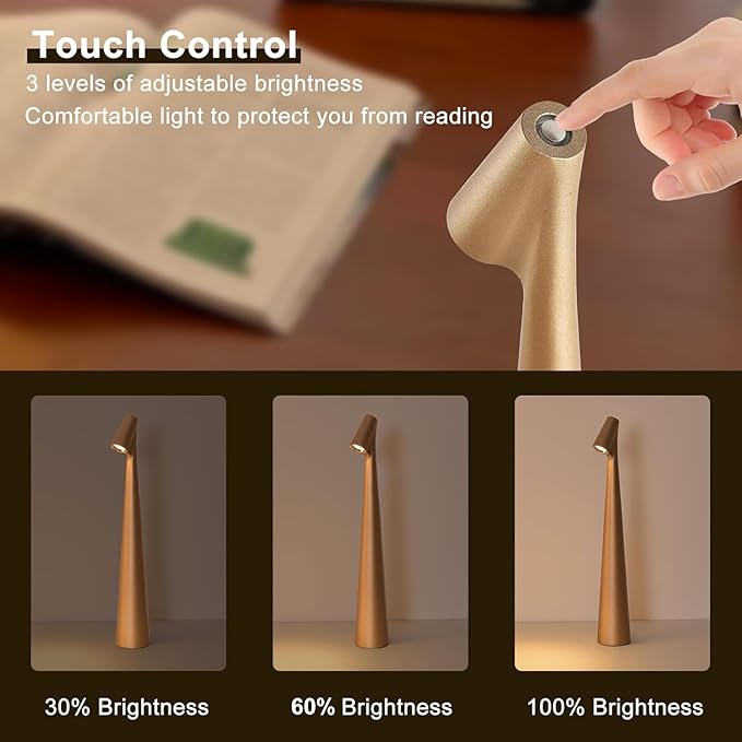 Cordless Small Table Lamps,3 Levels Brightness Portable Desk Lamp,Rechargeable Battery Lights for Outdoor, Restaurant, Bedside, Baby Night Light,Gifts(Gold)