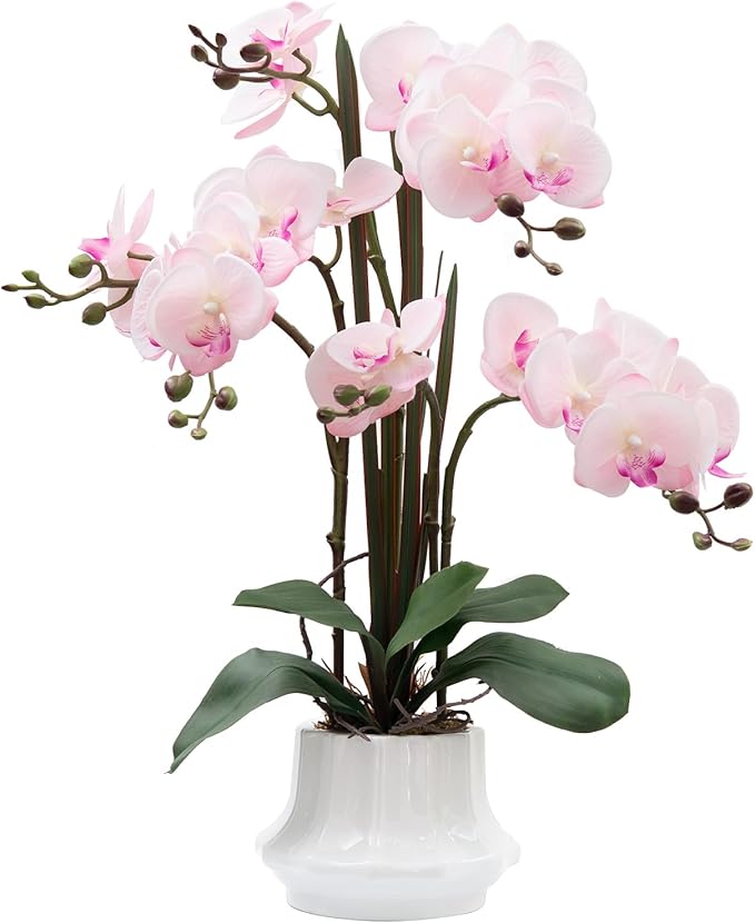 CXGS Artificial Orchid Flower Plant 20.9'' Real Touch Faux Orchids in Ceramic Vase Pink Fake Phalaenopsis Flower Arrangement Silk Orchids with Stems for Centerpiece Table Home Indoor Decor