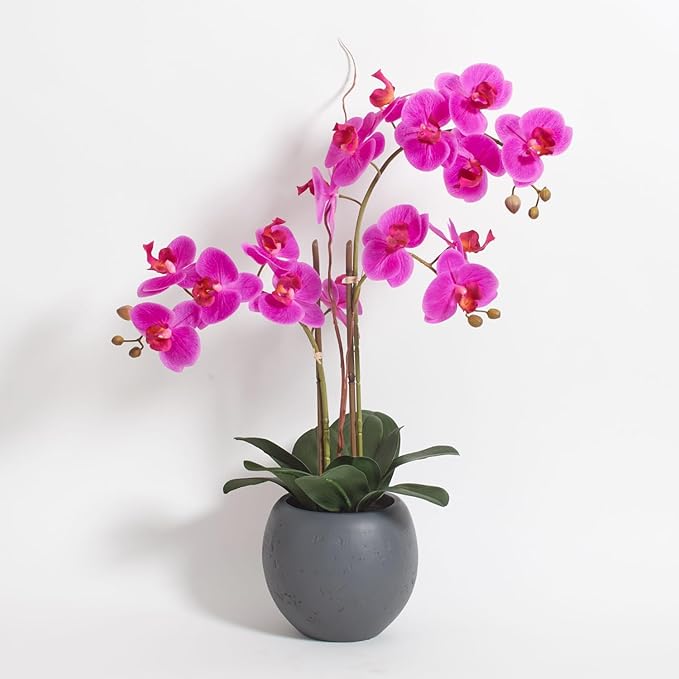 CG Hunter Faux Pink Orchid Plant, Premium Artificial Indoor Flower Display Stands 23-Inches with Beautiful Sculptural Blooms and Foliage That Lasts Forever, Grey Planter Pot Included