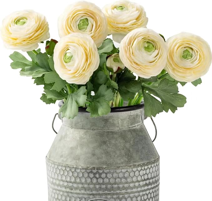 Artificial Ranunculus Flowers with Real Touch Stem, Silk Ranunculus Flowers (6 Pack) (White)