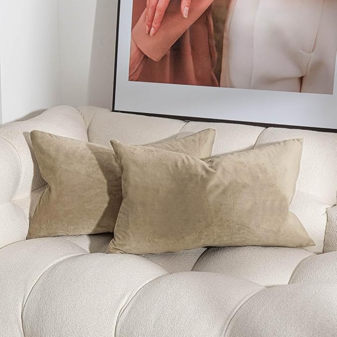 JUSPURBET Velvet Pillow Covers Set of 2 Decorative Throw Pillow Covers 26x26 for Couch Sofa Bed Soft Cushion Covers Cases with Hidden Zipper for Living Room Home Decor,Stone
