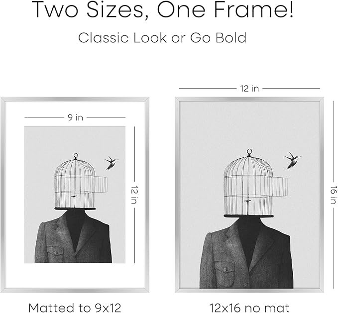 Homeforia 12 x 16 Picture Frame Silver, High End Metal 12x16 Poster Frames with Mat 9x12 Photo, 12 x 16 Silver Frame Matted to 9 x 12 in Print, 16by12 Hanging Frame, Tempered Glass, Wall Kit, Set of 4