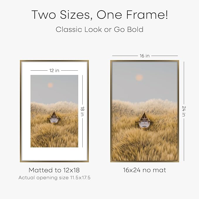 Homeforia 16 x 24 Bronze Frame, High End Metal 16x24 Brass Picture Frames with Mat 12x18 Photo, 16 x 24 Poster Frames Matted to 12 by 18 Print, 24x16 Hanging Frames, Tempered Glass, Wall Kit, Set of 2