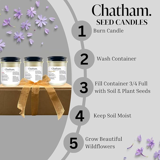 3 Pack 6oz Seed Candles in Glass with Lid, No Waste Candles, Soy Wax, Natural Cotton Wicks, Gift Set (Sweet)