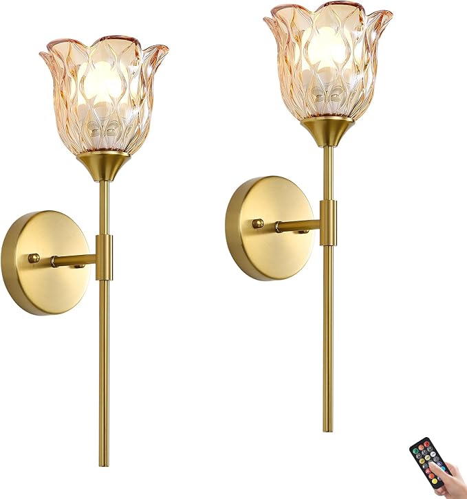 2 Pack Vintage Battery Operated Wall Sconce with Amber Glass Lampshade, Wireless Rechargeable Battery Powered RGB Wall Light with Remote Control, for Bedside Bedroom Doorway