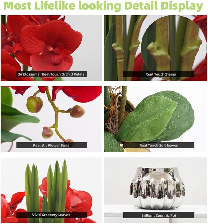 CXGS Artificial Orchid Flower Real Touch Faux Orchids in Ceramic Vase Large 22.9'' Fake Flowers Red Phalaenopsis Floral for Home Indoor Decor