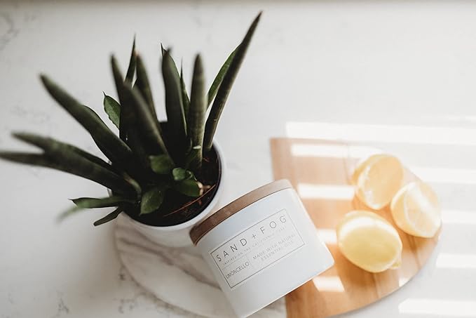 Sand + Fog Scented Candle - Juniper Berry Sage – Additional Scents and Sizes – 100% Cotton Lead-Free Wick - Luxury Air Freshening Jar Candles - Perfect Home Decor – 12oz