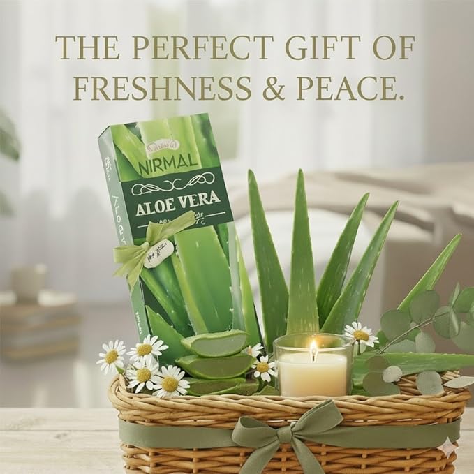 Shubhkart Nirmal Aloe Vera Incense Sticks, Pack of 6 (120 Sticks). Fresh, Clean & Soothing Scent. Perfect for Stress Relief, Relaxation, Yoga & Refreshing Home Fragrance
