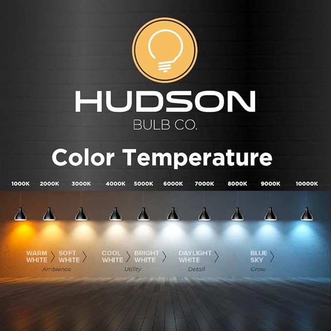 Hudson Bulb Co. Vintage Incandescent Edison Light Bulbs, 60W, E26/E27 Base, 2100K Dimmable Decorative Lights, ST58 Style Warm Glow, Antique Squirrel Filament for Outdoor and Indoor Use - 6 Pack