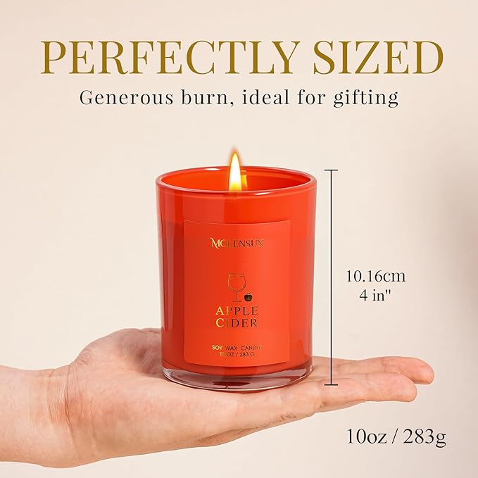 Christmas Candles Gift Set, 3 Pack Total 30oz Soy Scented Candles – Christmas Fir, Gingerbread & Apple Cider – Luxury Gift Box, Holiday & Birthday Gifts for Women & Men, Non-Toxic Clean Burn