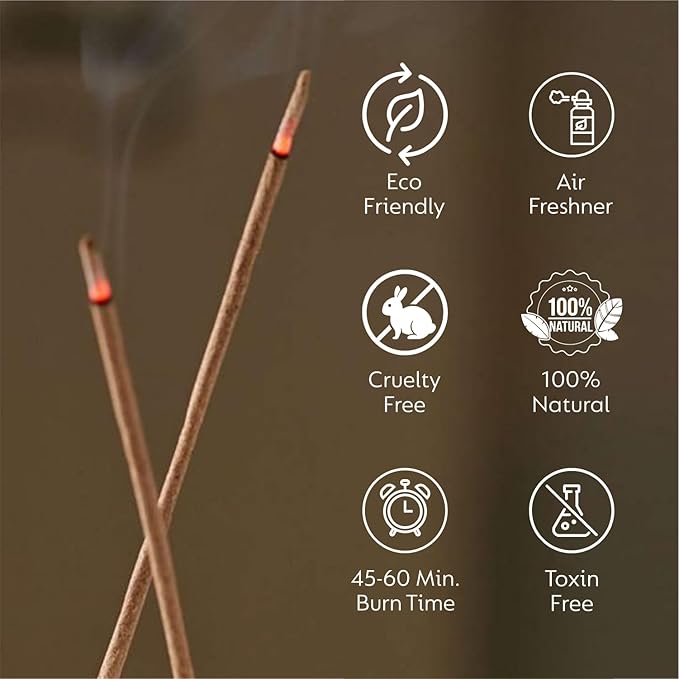 Incense Sticks Gift Pack – 6 Fragrances x 20 Sticks Each, Hand Rolled Insents with Incense Holder – Coconut Canela Fruit Passion ICY Mint Ocean Drive Canela Clove Tangy Lemon